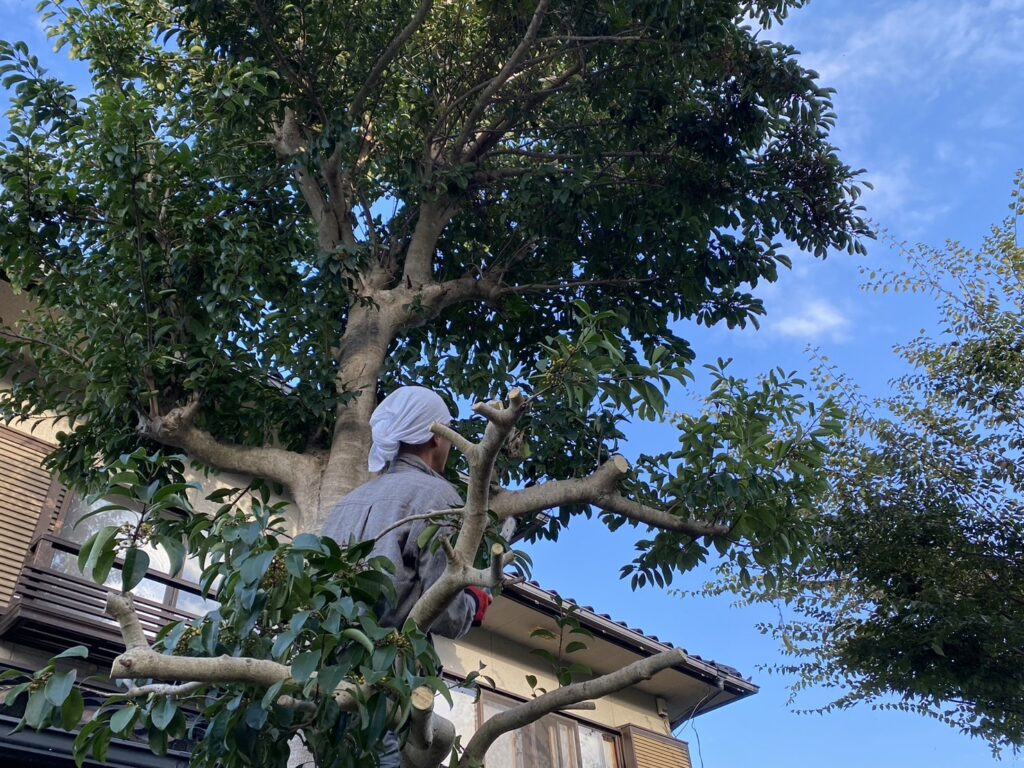 【高松市Ｍ様邸】庭木・植栽・花壇等を撤去しスッキリ庭仕舞い✨昨日着工⛑ (株)カインズガーデン｜香川県の庭リフォーム工事