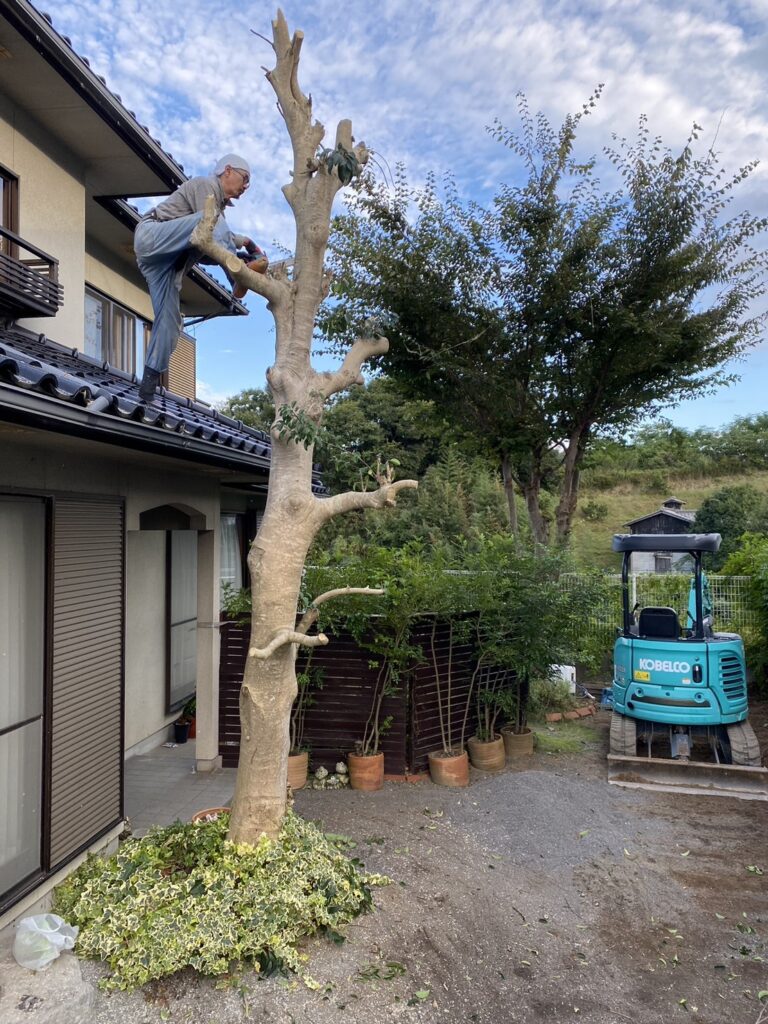 【高松市Ｍ様邸】庭木・植栽・花壇等を撤去しスッキリ庭仕舞い✨昨日着工⛑ (株)カインズガーデン｜香川県の庭リフォーム工事