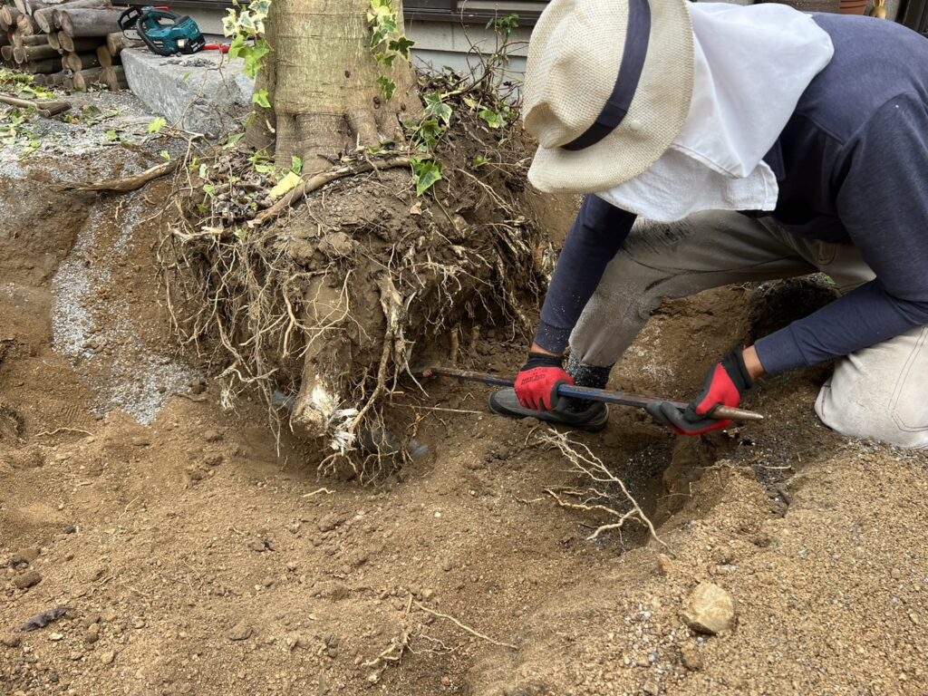 【高松市Ｍ様邸】庭木・植栽・花壇等を撤去しスッキリ✨庭仕舞い工事㊗完工 (株)カインズガーデン｜香川県の庭リフォーム工事