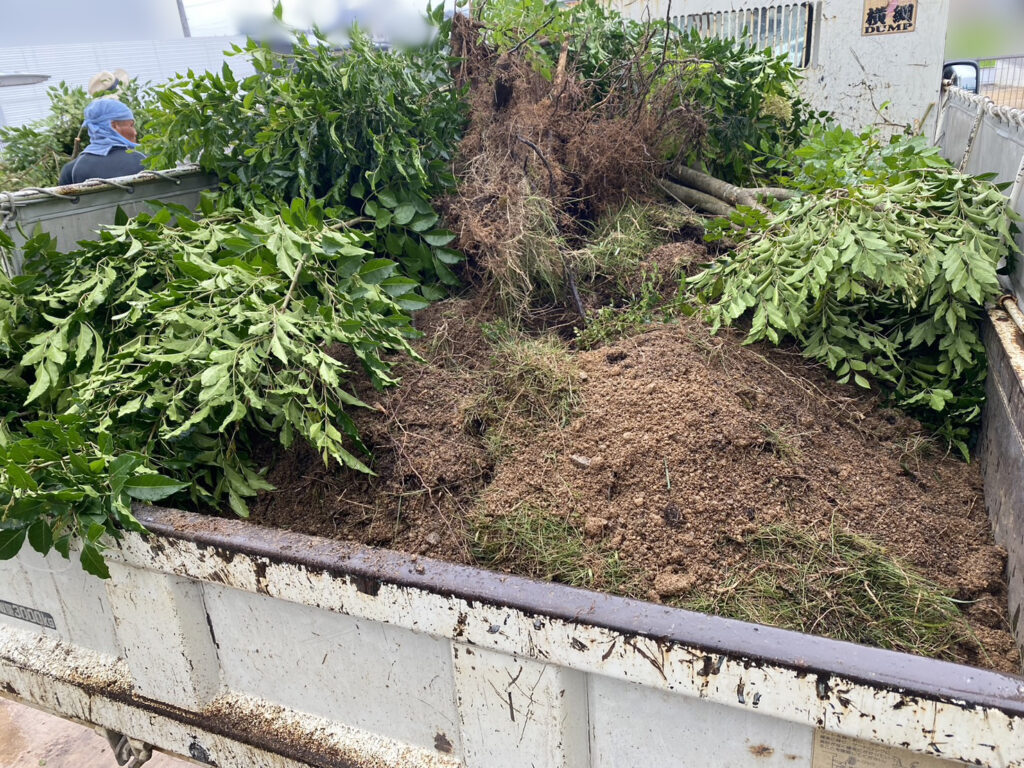 【香川県高松市Ｎ様邸】天然芝・庭木撤去し雑草対策，ハムちゃんお墓移設，テラス設置等の庭リフォーム工事着工⛑ (株)カインズガーデン