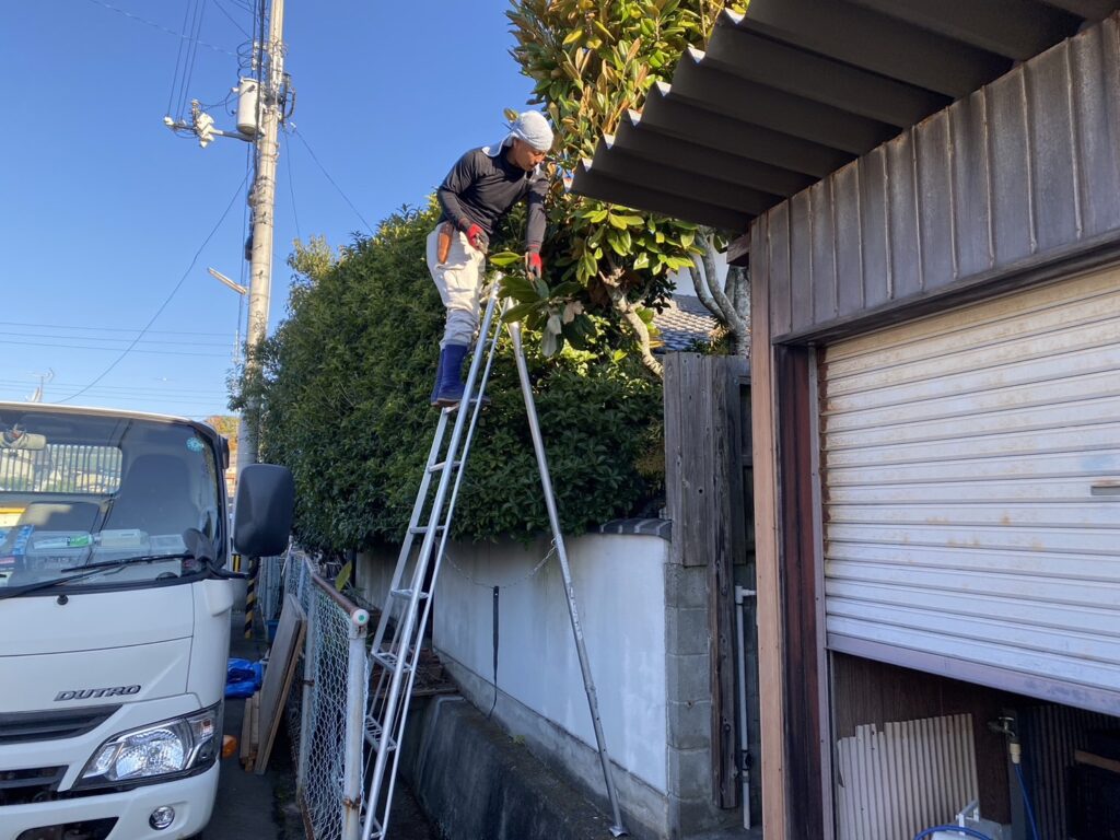 【綾川町Ｆ様邸】庭木のお手入れ・剪定着工⛑ (株)カインズガーデン｜香川県の庭仕舞い工事