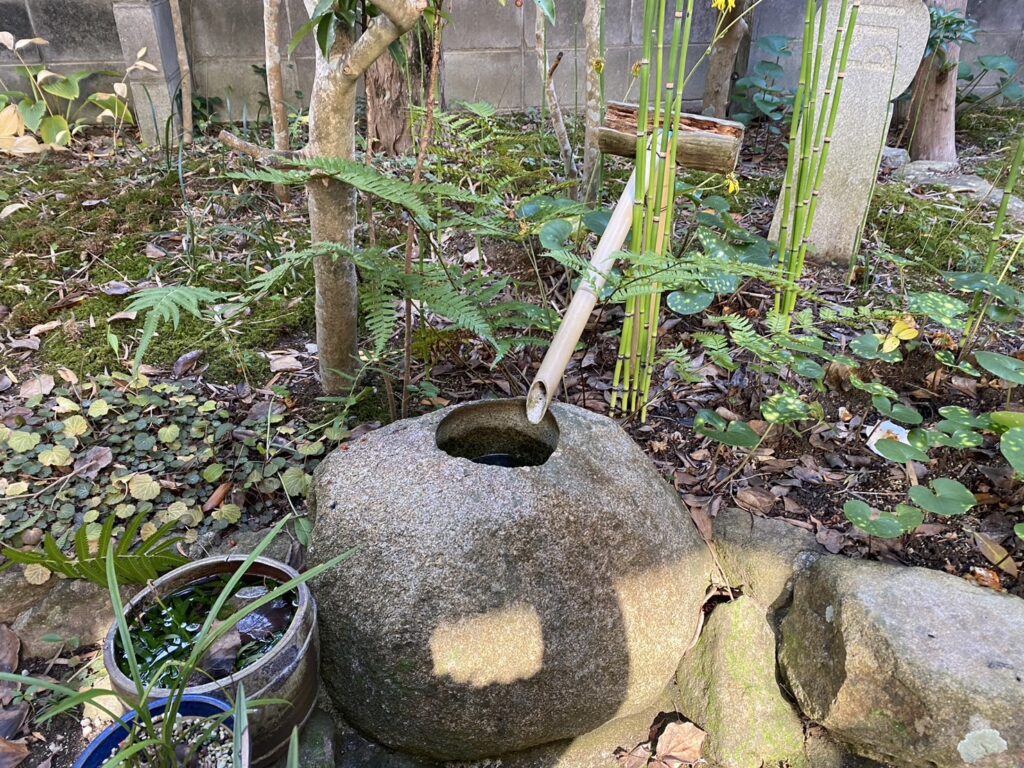 【綾川町Ｆ様邸】庭木のお手入れ・剪定着工⛑ (株)カインズガーデン｜香川県の庭仕舞い工事