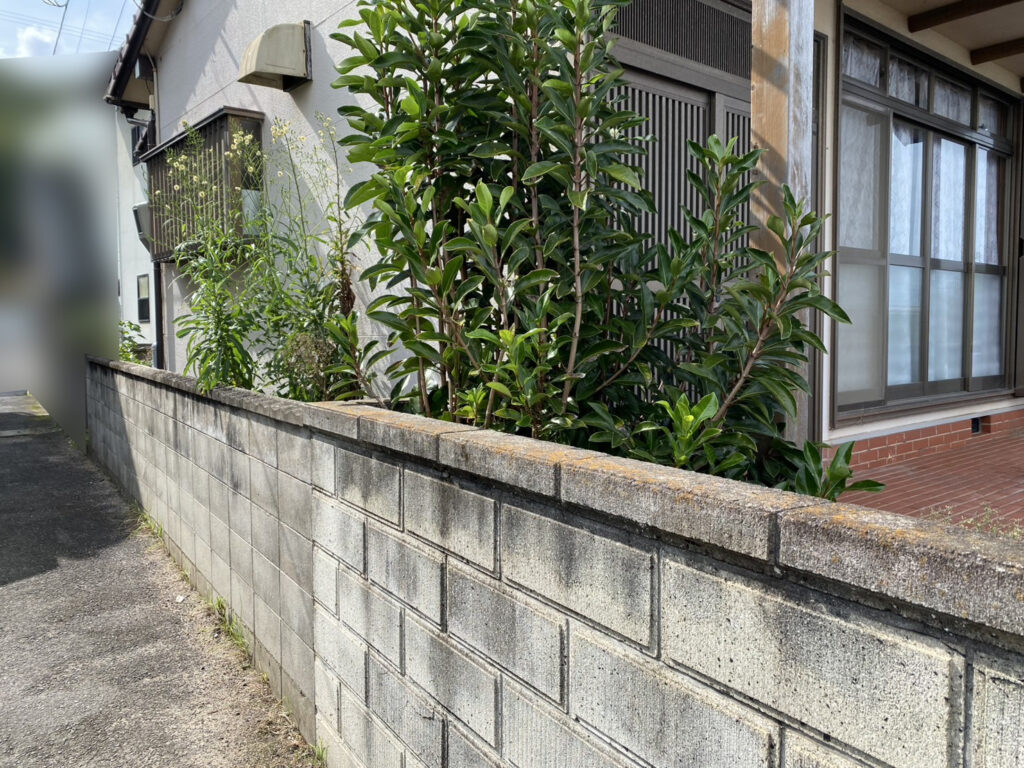 【高松市Ｒ様邸】雑草対策工事着工⛑庭木植栽・雑草・既存防草シート撤去 (株)カインズガーデン｜香川県の庭仕舞い