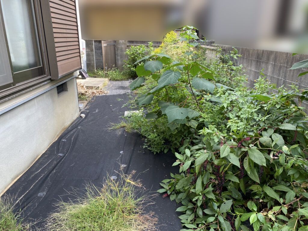 【高松市Ｒ様邸】雑草対策工事着工⛑庭木植栽・雑草・既存防草シート撤去 (株)カインズガーデン｜香川県の庭仕舞い