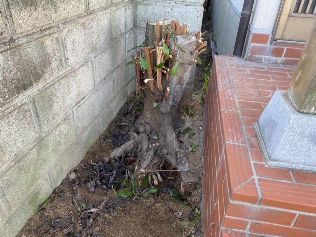 【高松市Ｒ様邸】雑草対策工事着工⛑庭木植栽・雑草・既存防草シート撤去 (株)カインズガーデン｜香川県の庭仕舞い