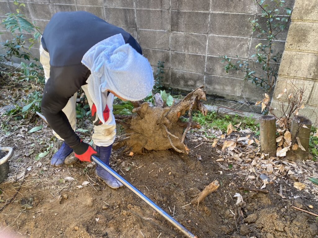 【高松市Ｒ様邸】雑草対策工事着工⛑庭木植栽・雑草・既存防草シート撤去 (株)カインズガーデン｜香川県の庭仕舞い