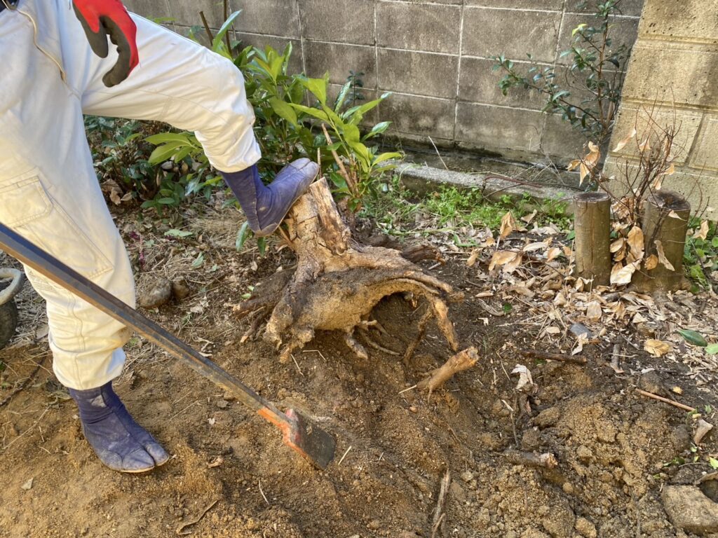 【高松市Ｒ様邸】雑草対策工事着工⛑庭木植栽・雑草・既存防草シート撤去 (株)カインズガーデン｜香川県の庭仕舞い