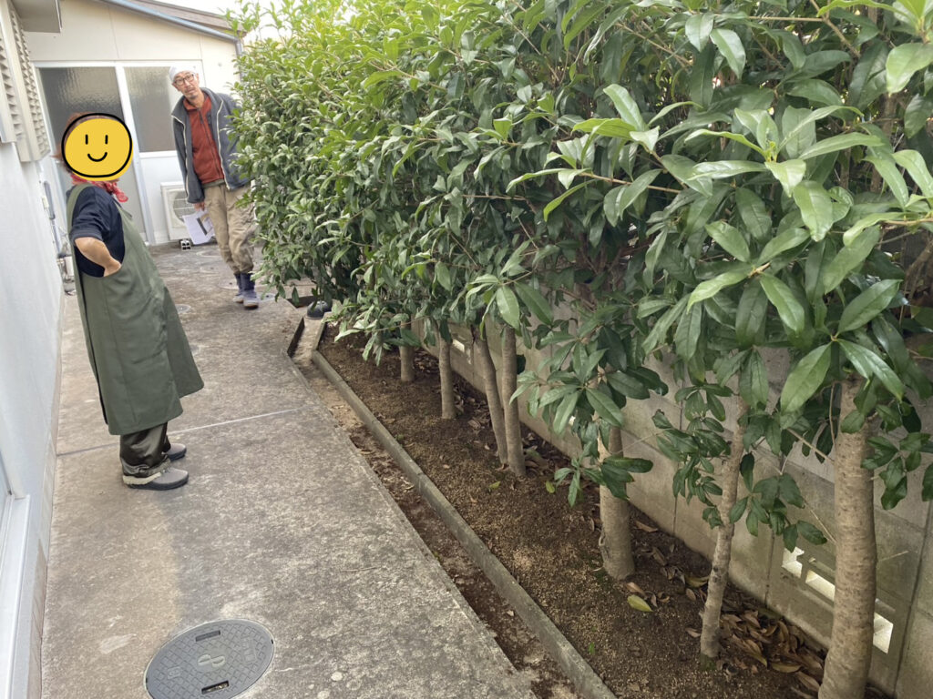 【綾川町ＨＫ様邸】生垣石垣・庭木植栽撤去しスッキリ手入れが要らないお庭へ✨庭仕舞い工事着工⛑ (株)カインズガーデン