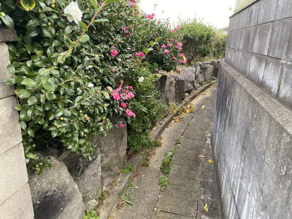 【綾川町ＨＫ様邸】生垣石垣・庭木植栽撤去しスッキリ手入れが要らないお庭へ✨庭仕舞い工事着工⛑ (株)カインズガーデン