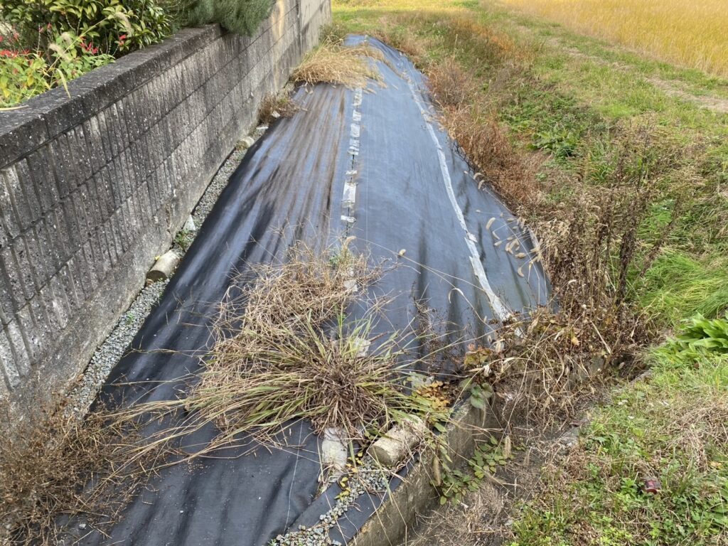 【綾川町ＨＫ様邸】生垣石垣・庭木植栽撤去しスッキリ手入れが要らないお庭へ✨庭仕舞い工事着工⛑ (株)カインズガーデン