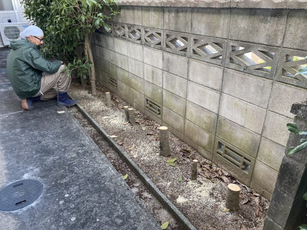 【綾川町ＨＫ様邸】生垣石垣・庭木植栽撤去しスッキリ手入れが要らないお庭へ✨庭仕舞い工事着工⛑ (株)カインズガーデン