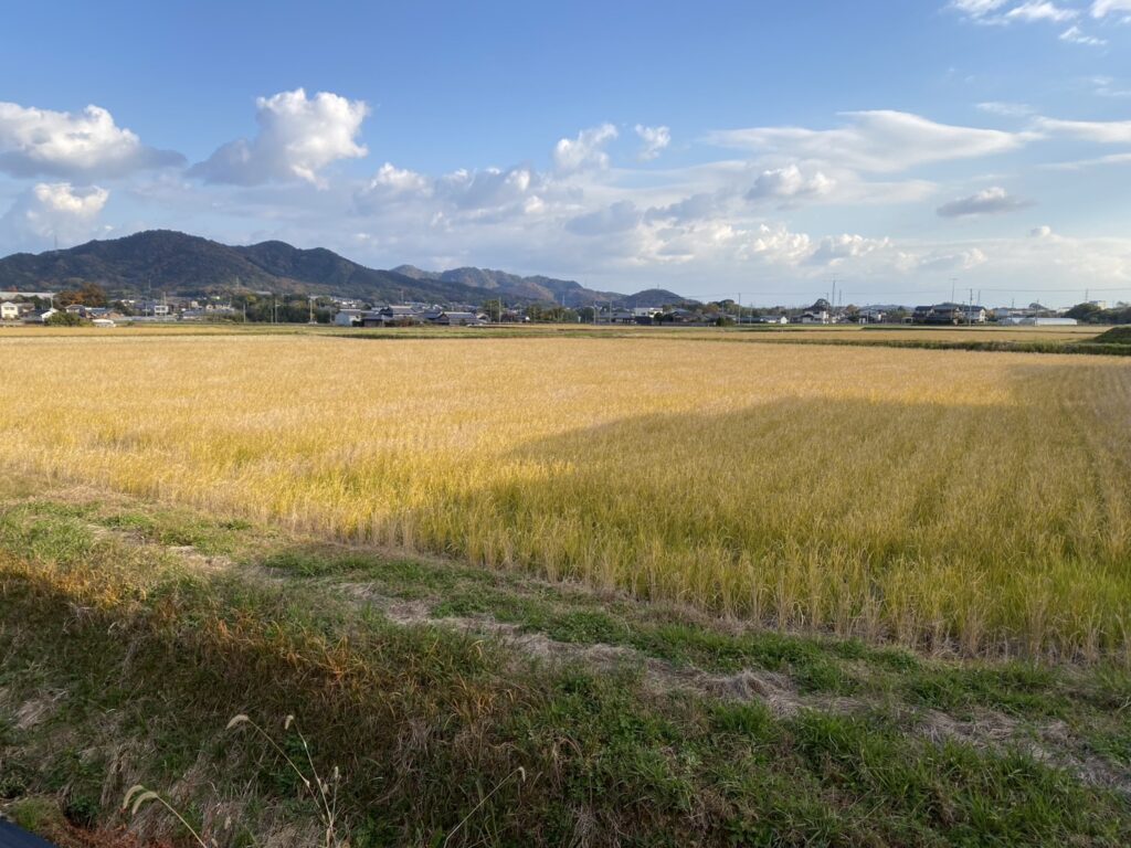 【綾川町ＨＫ様邸】生垣石垣・庭木植栽撤去しスッキリ手入れが要らないお庭へ✨庭仕舞い工事着工⛑ (株)カインズガーデン