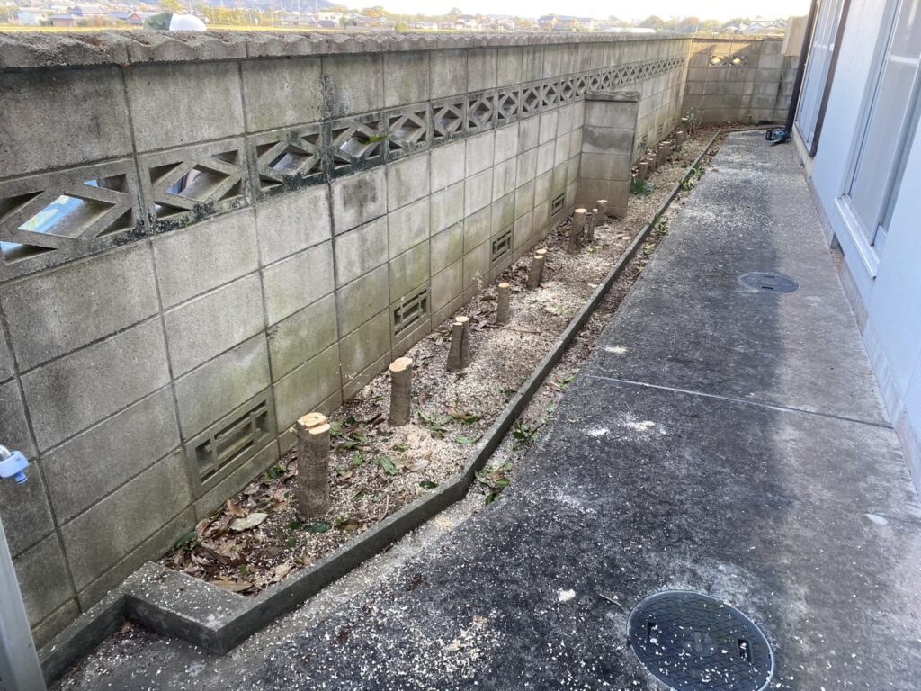 【綾川町ＨＫ様邸】生垣石垣・庭木植栽撤去しスッキリ手入れが要らないお庭へ✨庭仕舞い工事着工⛑ (株)カインズガーデン