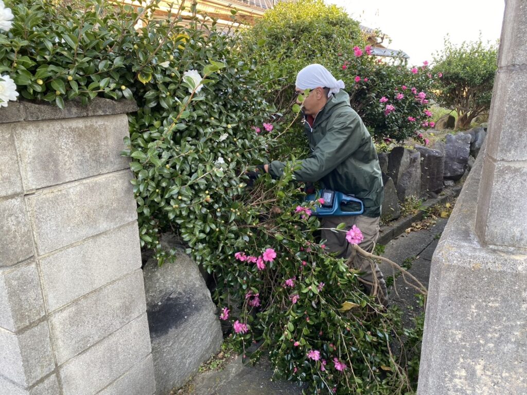 【綾川町ＨＫ様邸】生垣石垣・庭木植栽撤去しスッキリ手入れが要らないお庭へ✨庭仕舞い工事着工⛑ (株)カインズガーデン