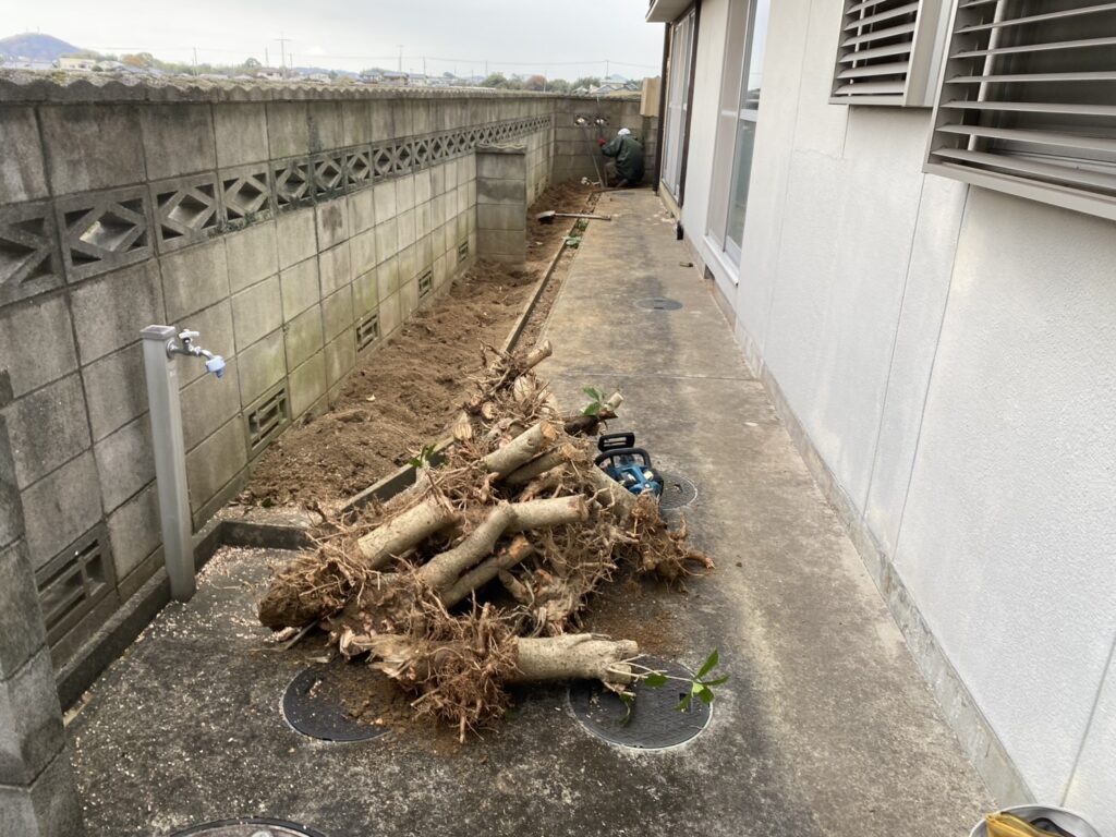 【綾川町ＨＫ様邸】生垣や石垣スッキリ✨撤去した庭木のその先！初公開♪ (株)カインズガーデン｜香川の庭仕舞い工事