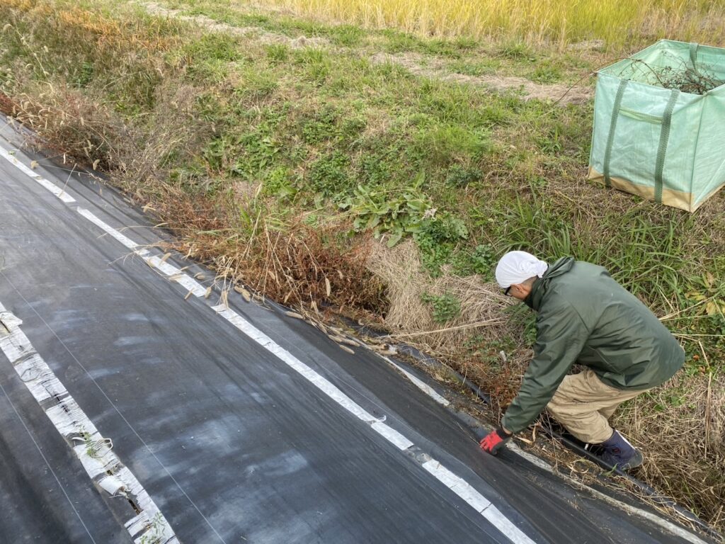 【綾川町ＨＫ様邸】生垣や石垣スッキリ✨撤去した庭木のその先！初公開♪ (株)カインズガーデン｜香川の庭仕舞い工事