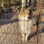 【綾川町ＦＵ様邸】広く綺麗になったスロープに手摺りの支柱設置中 (株)カインズガーデン｜香川県の安全庭リフォーム工事，庭仕舞い