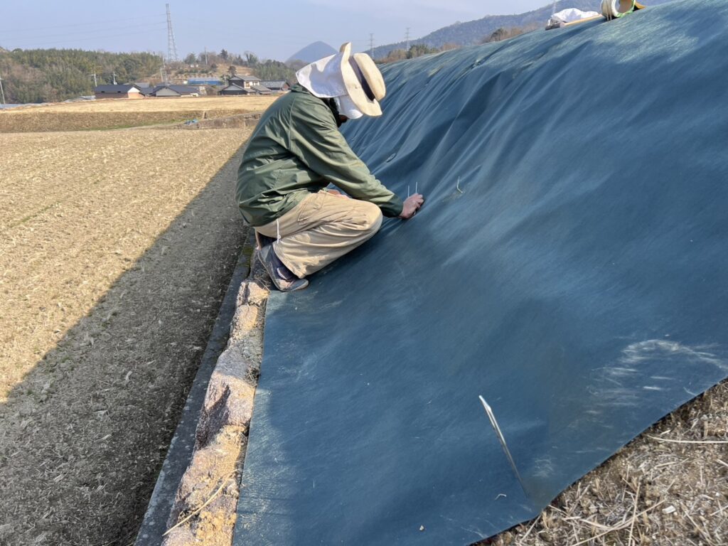 【綾川町ＴＮ様邸】田んぼ法面の防草シート張り、順調です (株)カインズガーデン｜香川県の雑草対策工事，庭仕舞い工事