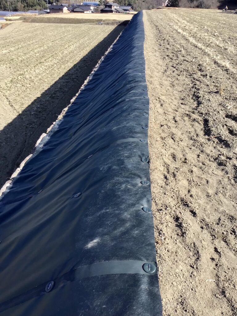 【綾川町ＴＮ様邸】田んぼ法面の防草シート張り、順調です (株)カインズガーデン｜香川県の雑草対策工事，庭仕舞い工事