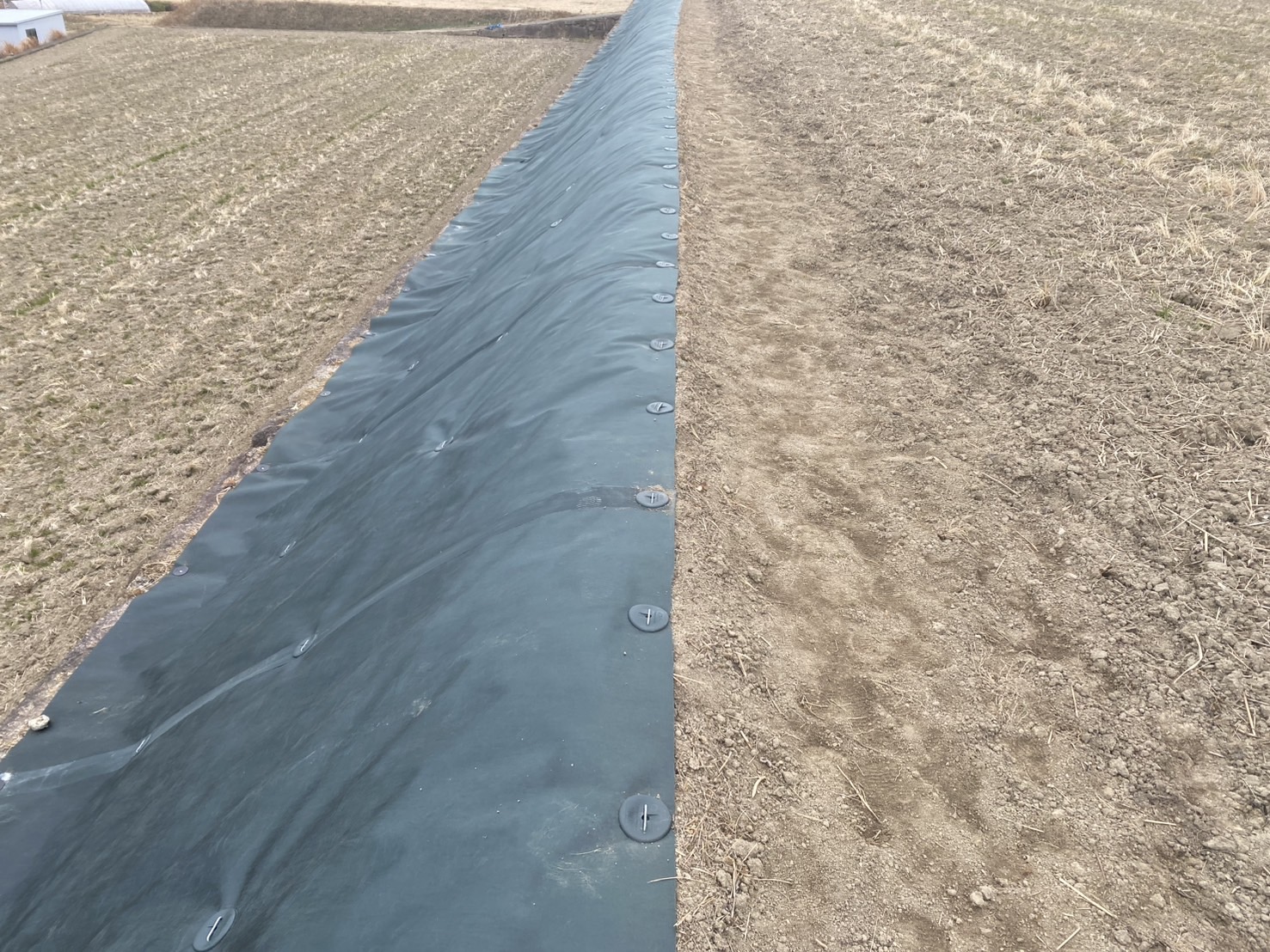 【綾川町ＴＮ様邸】田んぼ法面の雑草対策・防草シート工事㊗完工 (株)カインズガーデン｜香川県の庭仕舞い工事