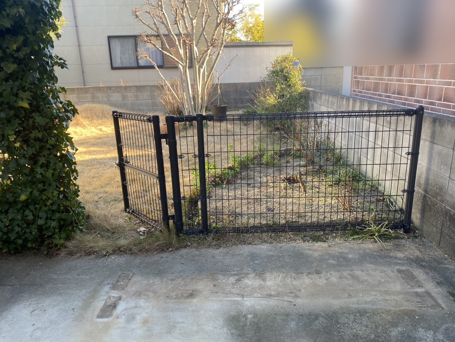 【三豊市Ｉ様邸】メッシュフェンスと門扉撤去処分、着工＆㊗完工 (株)カインズガーデン｜香川県のエクステリア工事，庭仕舞い