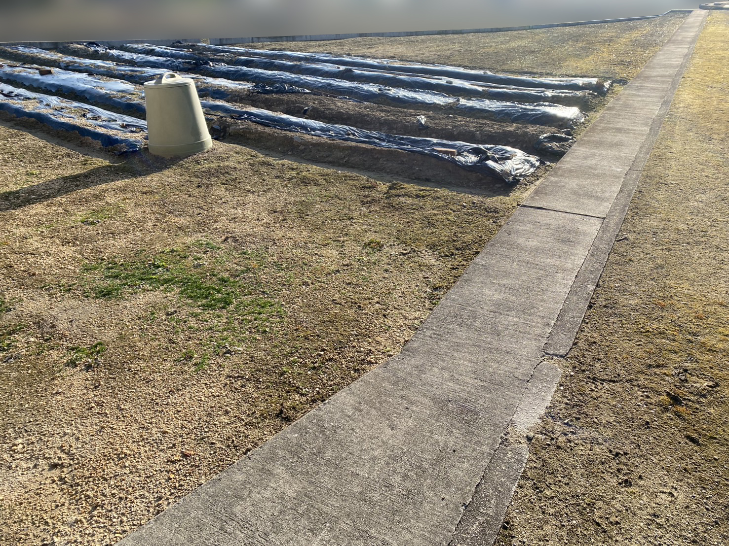 【西讃Ｏ様邸】畑の雑草対策「畑仕舞い」をしていきます (株)カインズガーデン｜香川県の庭仕舞い工事，雑草対策