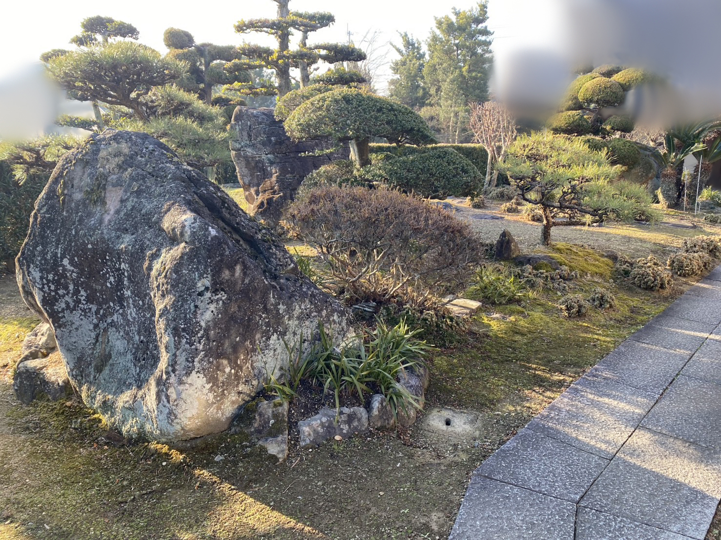 【西讃Ｏ様邸】生垣や庭木庭石撤去等の庭リフォーム工事＆畑の雑草対策、本日着工⛑ (株)カインズガーデン｜香川県の庭仕舞い