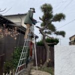【綾川町Ｍ様邸】お庭・裏庭の庭木撤去工事、本日着工⛑ (株)カインズガーデン｜香川県の庭仕舞い工事
