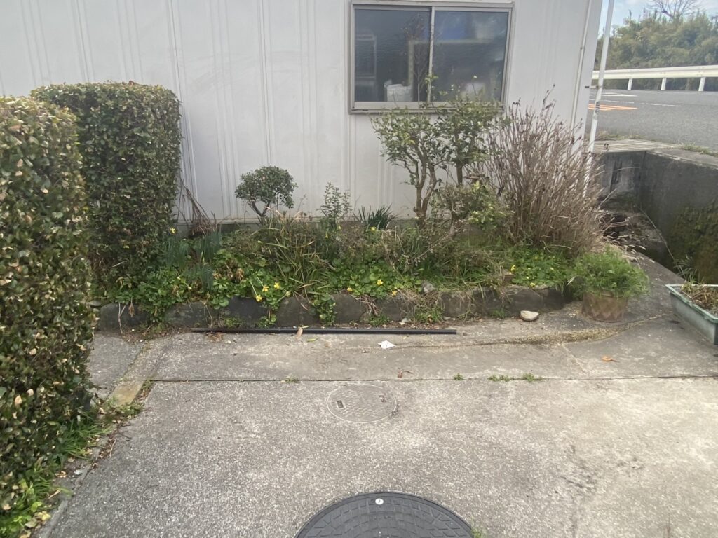 【三豊市高瀬町N様邸】代々受け継がれてきた立派なお庭✨庭仕舞い工事着工⛑ (株)カインズガーデン|香川の庭リフォーム工事 【三豊市高瀬町N様邸】代々受け継がれてきた立派なお庭✨庭仕舞い工事着工⛑ (株)カインズガーデン|香川の庭リフォーム工事