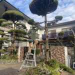 【三豊市高瀬町Ｎ様邸】代々受け継がれてきた立派なお庭✨庭仕舞い工事着工⛑ (株)カインズガーデン｜香川の庭リフォーム工事
