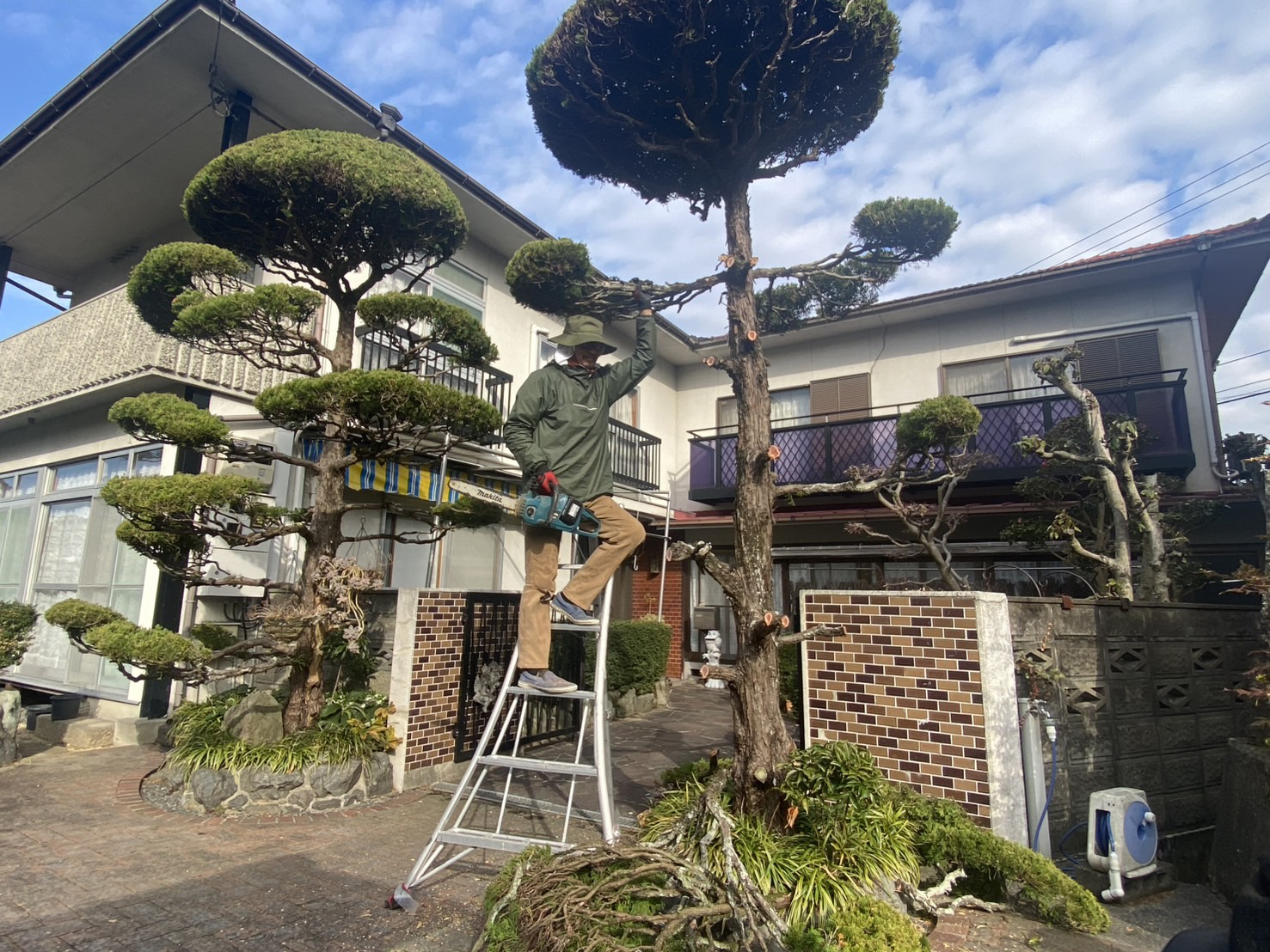 【三豊市高瀬町Ｎ様邸】代々受け継がれてきた立派なお庭✨庭仕舞い工事着工⛑ (株)カインズガーデン｜香川の庭リフォーム工事