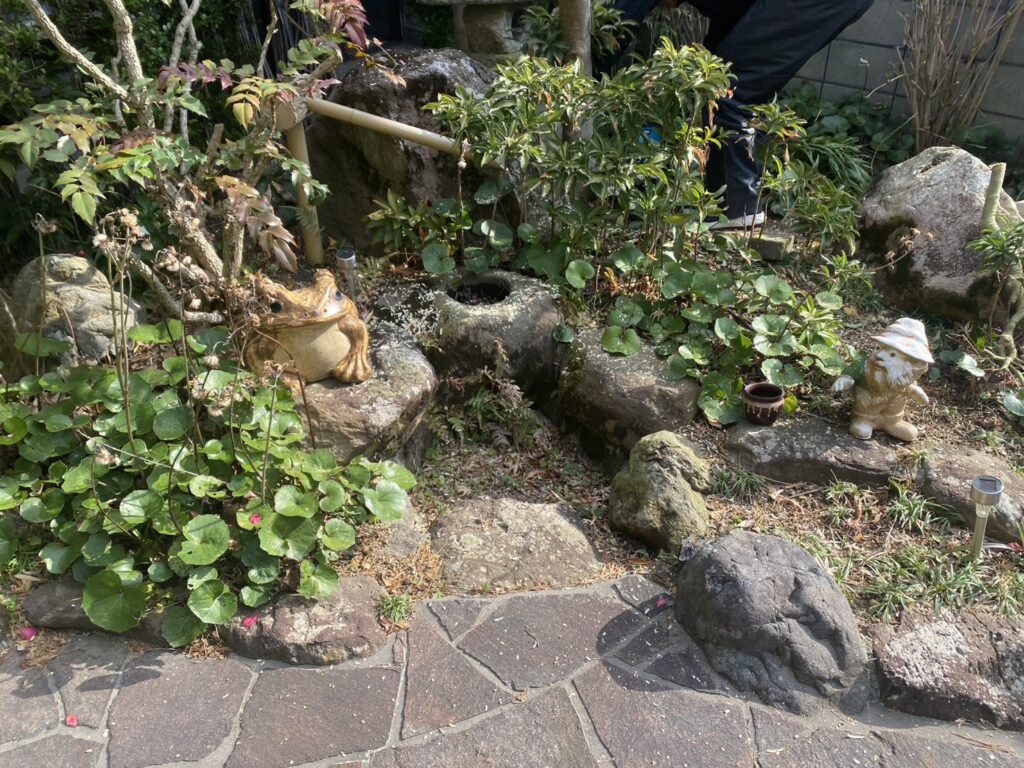 【三豊市高瀬町N様邸】代々受け継がれてきた立派なお庭✨庭仕舞い工事着工⛑ (株)カインズガーデン|香川の庭リフォーム工事 【三豊市高瀬町N様邸】代々受け継がれてきた立派なお庭✨庭仕舞い工事着工⛑ (株)カインズガーデン|香川の庭リフォーム工事