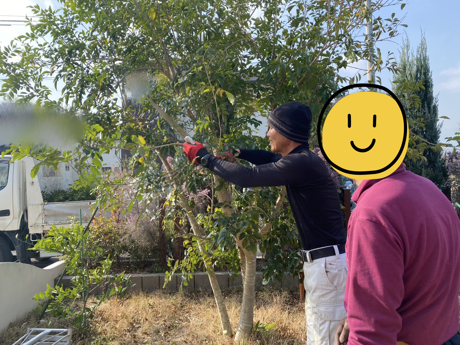 【高松市Ｋ様邸】門壁＆タイルの修繕工事・剪定・不用品処分、本日着工⛑ (株)カインズガーデン｜香川県の庭仕舞い，庭リフォーム工事