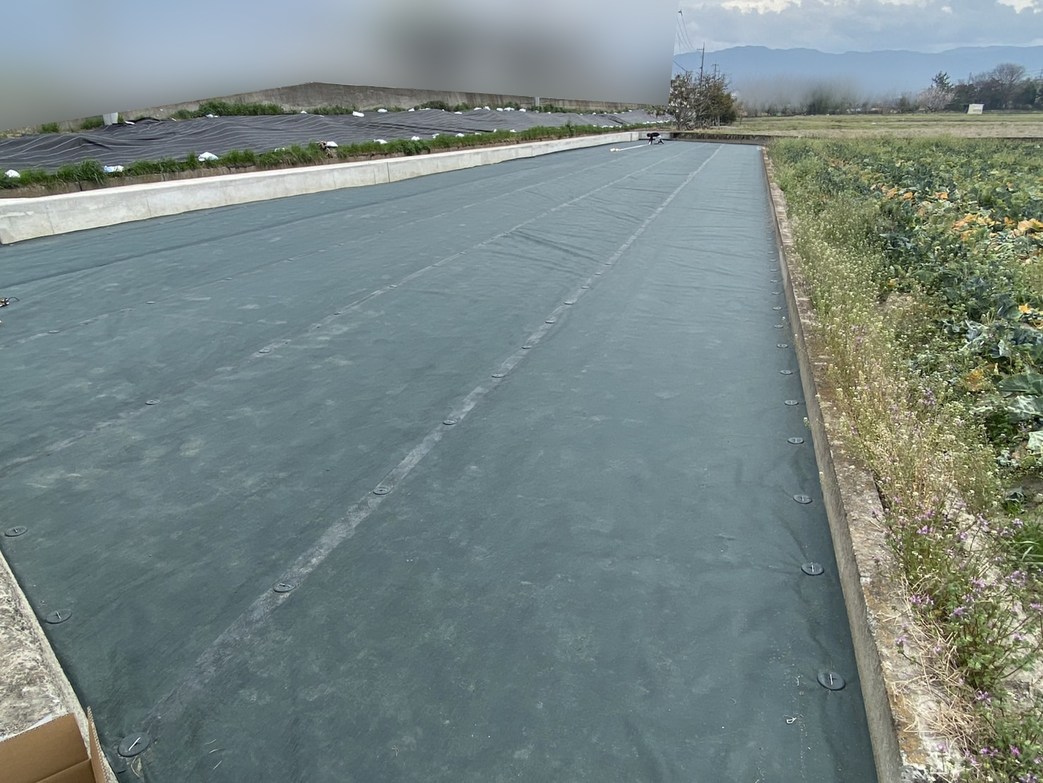 【西讃Ｏ様邸】畑の雑草対策✨畑仕舞い計２箇所スッキリ完了✨ (株)カインズガーデン｜香川県の庭仕舞い工事