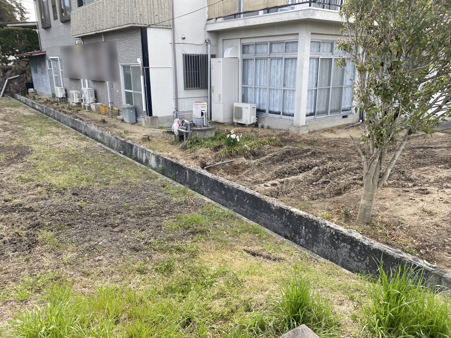 【三豊市高瀬町Ｎ様邸】裏庭ブロック塀撤去完了！玄関周りもオープンにスッキリ✨ (株)カインズガーデン｜香川の庭仕舞い工事