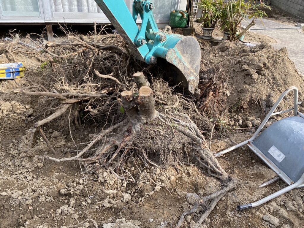 【三豊市高瀬町N様邸】裏庭ブロック塀撤去完了!玄関周りもオープンにスッキリ✨ (株)カインズガーデン|香川の庭仕舞い工事 【三豊市高瀬町N様邸】裏庭ブロック塀撤去完了!玄関周りもオープンにスッキリ✨ (株)カインズガーデン|香川の庭仕舞い工事