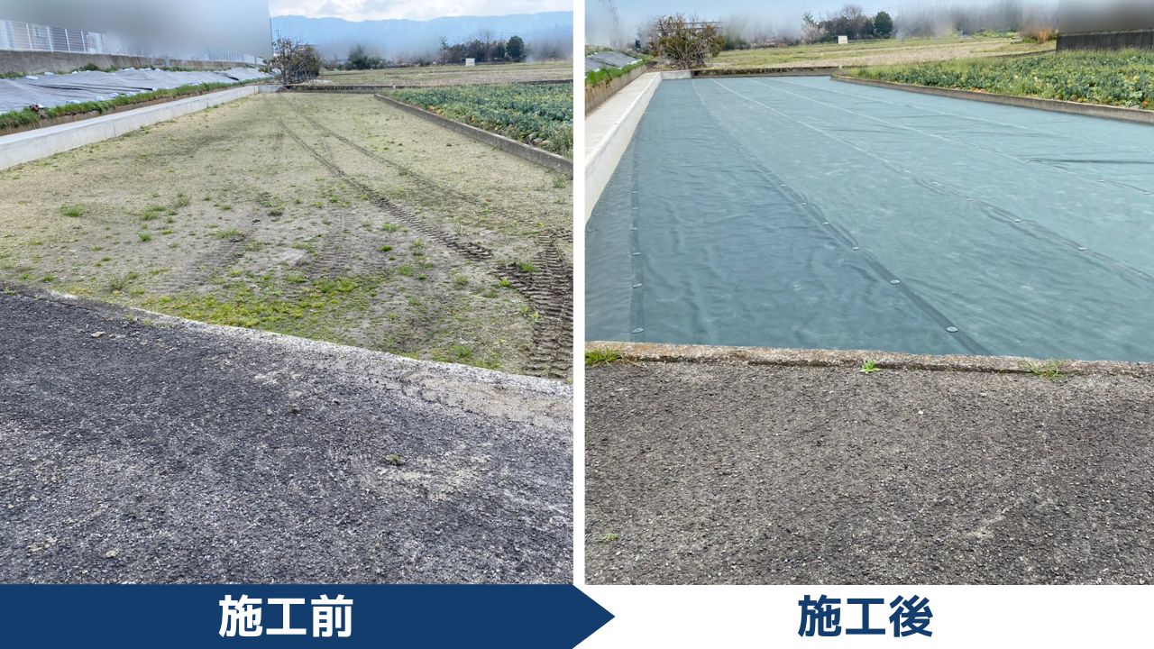 【西讃O様邸】畑も雑草対策でスッキリサッパリ✨畑の仕舞い工事㊗完工 (株)カインズガーデン|香川県の庭仕舞い工事 【西讃O様邸】畑も雑草対策でスッキリサッパリ✨畑の仕舞い工事㊗完工 (株)カインズガーデン|香川県の庭仕舞い工事