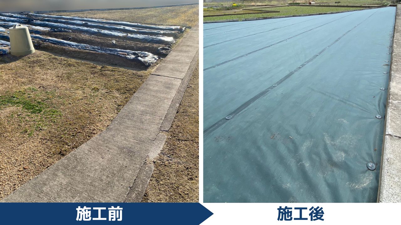 【西讃O様邸】畑も雑草対策でスッキリサッパリ✨畑の仕舞い工事㊗完工 (株)カインズガーデン|香川県の庭仕舞い工事 【西讃O様邸】畑も雑草対策でスッキリサッパリ✨畑の仕舞い工事㊗完工 (株)カインズガーデン|香川県の庭仕舞い工事