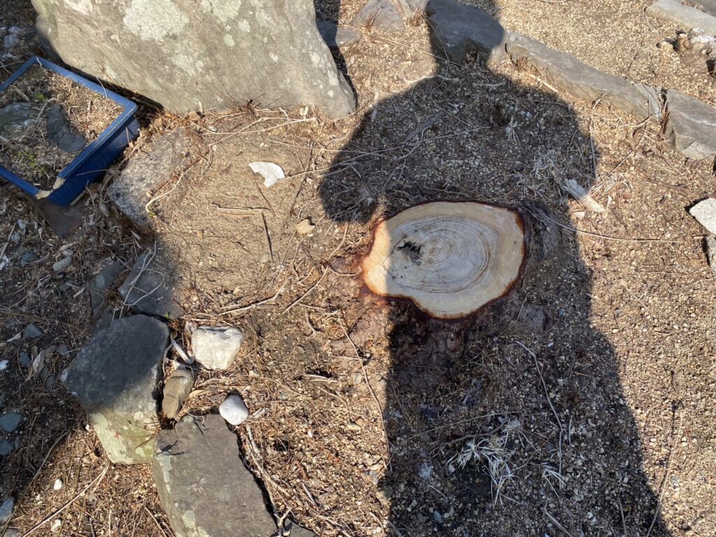 【三豊市山本町MO様邸】石垣や庭石敷石・根株撤去しスッキリ雑草対策&目隠しフェンス工事、着工⛑ (株)カインズガーデン|香川県の庭仕舞い,庭リフォーム 【三豊市山本町MO様邸】石垣や庭石敷石・根株撤去しスッキリ雑草対策&目隠しフェンス工事、着工⛑ (株)カインズガーデン|香川県の庭仕舞い,庭リフォーム
