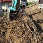 【三豊市山本町ＭＯ様邸】庭石撤去＆伐根、玄関前の石垣撤去も開始 (株)カインズガーデン｜香川県の雑草対策，庭仕舞い工事