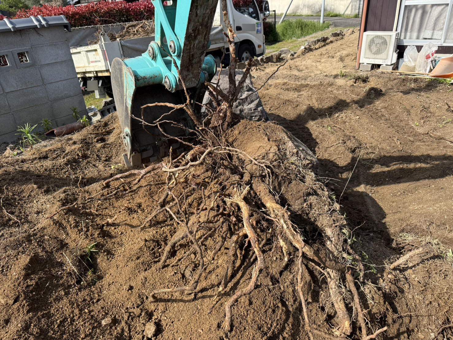 【三豊市山本町ＭＯ様邸】庭石撤去＆伐根、玄関前の石垣撤去も開始 (株)カインズガーデン｜香川県の雑草対策，庭仕舞い工事