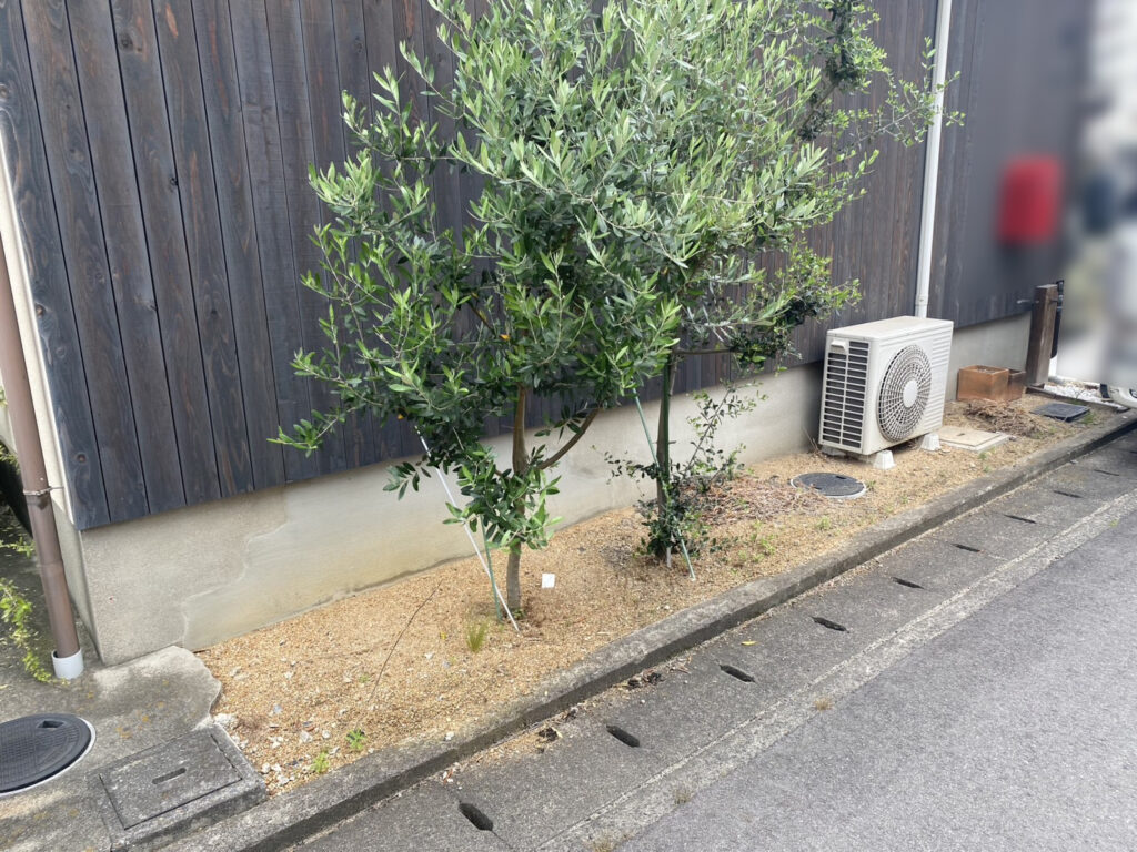 【高松市A様邸】雑草対策工事&植栽撤去、本日着工⛑ (株)カインズガーデン|香川県の庭リフォーム工事,庭仕舞い工事 【高松市A様邸】雑草対策工事&植栽撤去、本日着工⛑ (株)カインズガーデン|香川県の庭リフォーム工事,庭仕舞い工事