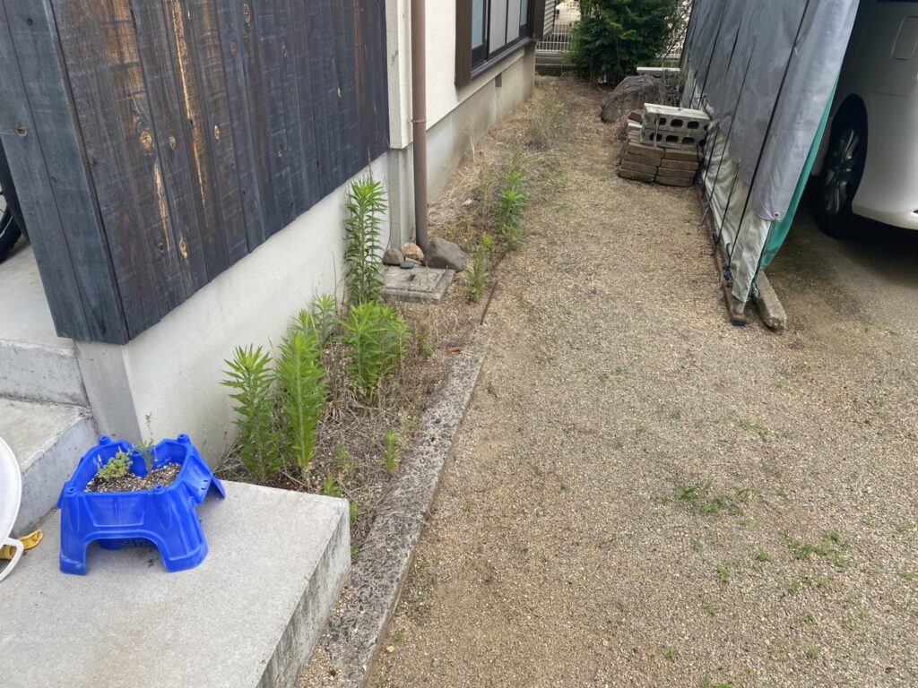 【高松市A様邸】雑草対策工事&植栽撤去、本日着工⛑ (株)カインズガーデン|香川県の庭リフォーム工事,庭仕舞い工事 【高松市A様邸】雑草対策工事&植栽撤去、本日着工⛑ (株)カインズガーデン|香川県の庭リフォーム工事,庭仕舞い工事