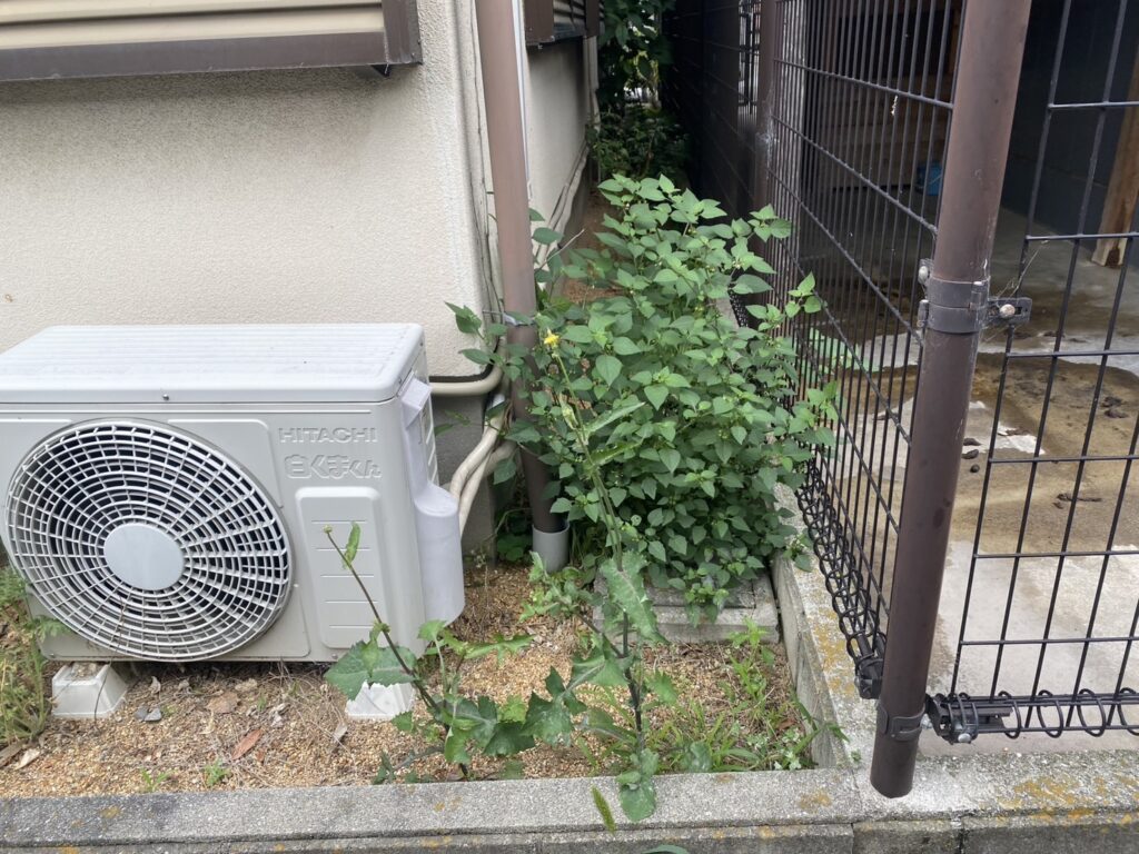 【高松市A様邸】雑草対策工事&植栽撤去、本日着工⛑ (株)カインズガーデン|香川県の庭リフォーム工事,庭仕舞い工事 【高松市A様邸】雑草対策工事&植栽撤去、本日着工⛑ (株)カインズガーデン|香川県の庭リフォーム工事,庭仕舞い工事