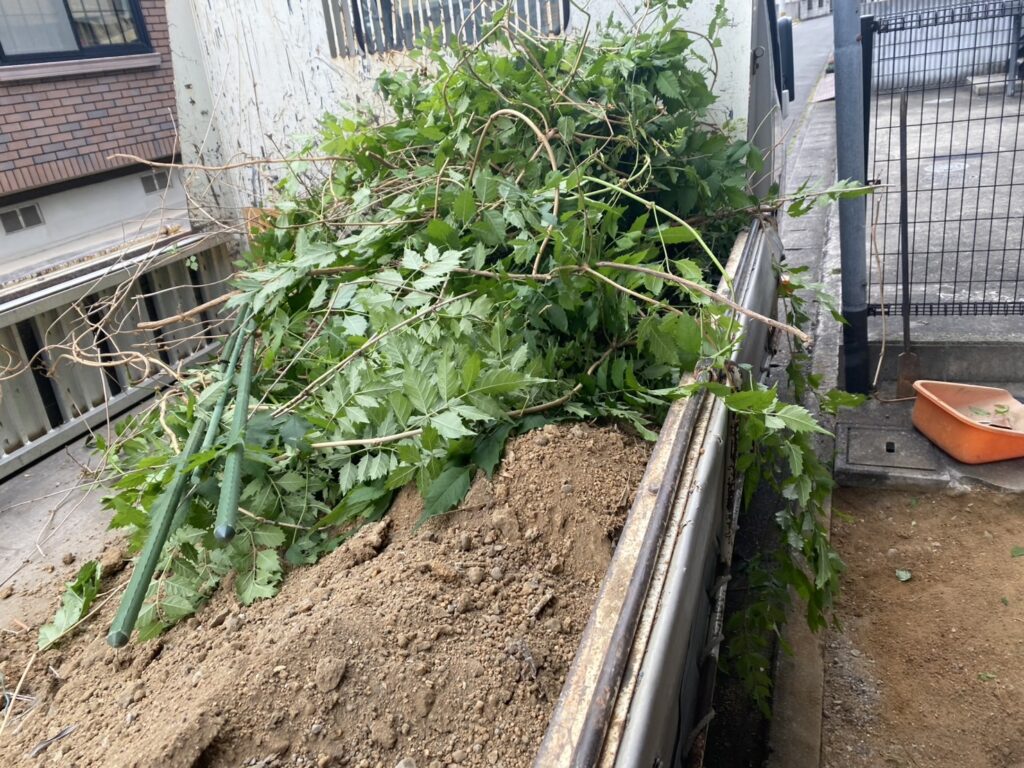 【高松市A様邸】雑草対策工事&植栽撤去、本日着工⛑ (株)カインズガーデン|香川県の庭リフォーム工事,庭仕舞い工事 【高松市A様邸】雑草対策工事&植栽撤去、本日着工⛑ (株)カインズガーデン|香川県の庭リフォーム工事,庭仕舞い工事