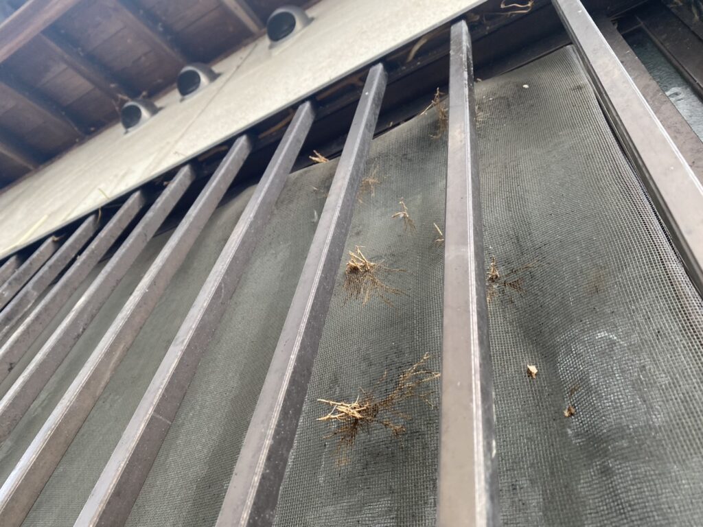 【高松市A様邸】雑草対策工事&植栽撤去、本日着工⛑ (株)カインズガーデン|香川県の庭リフォーム工事,庭仕舞い工事 【高松市A様邸】雑草対策工事&植栽撤去、本日着工⛑ (株)カインズガーデン|香川県の庭リフォーム工事,庭仕舞い工事