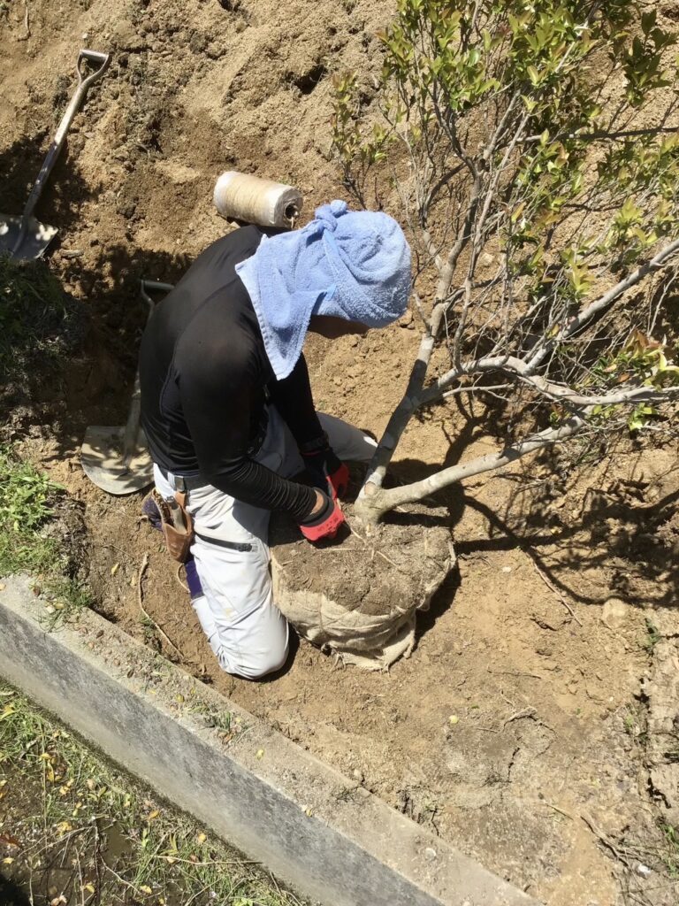 【綾川町U様邸】裏庭は雑草撤去でスッキリ✨庭木移設やフェンス柱たて (株)カインズガーデン|香川県の雑草対策,庭リフォーム工事 【綾川町U様邸】裏庭は雑草撤去でスッキリ✨庭木移設やフェンス柱たて (株)カインズガーデン|香川県の雑草対策,庭リフォーム工事