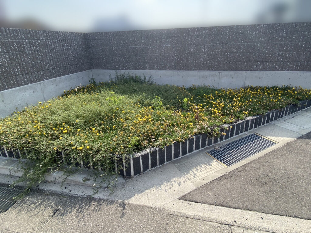 【高松市香南町法人様】正面花壇の雑草対策＆リフォーム工事、本日着工⛑ (株)カインズガーデン｜香川県の庭リフォーム工事