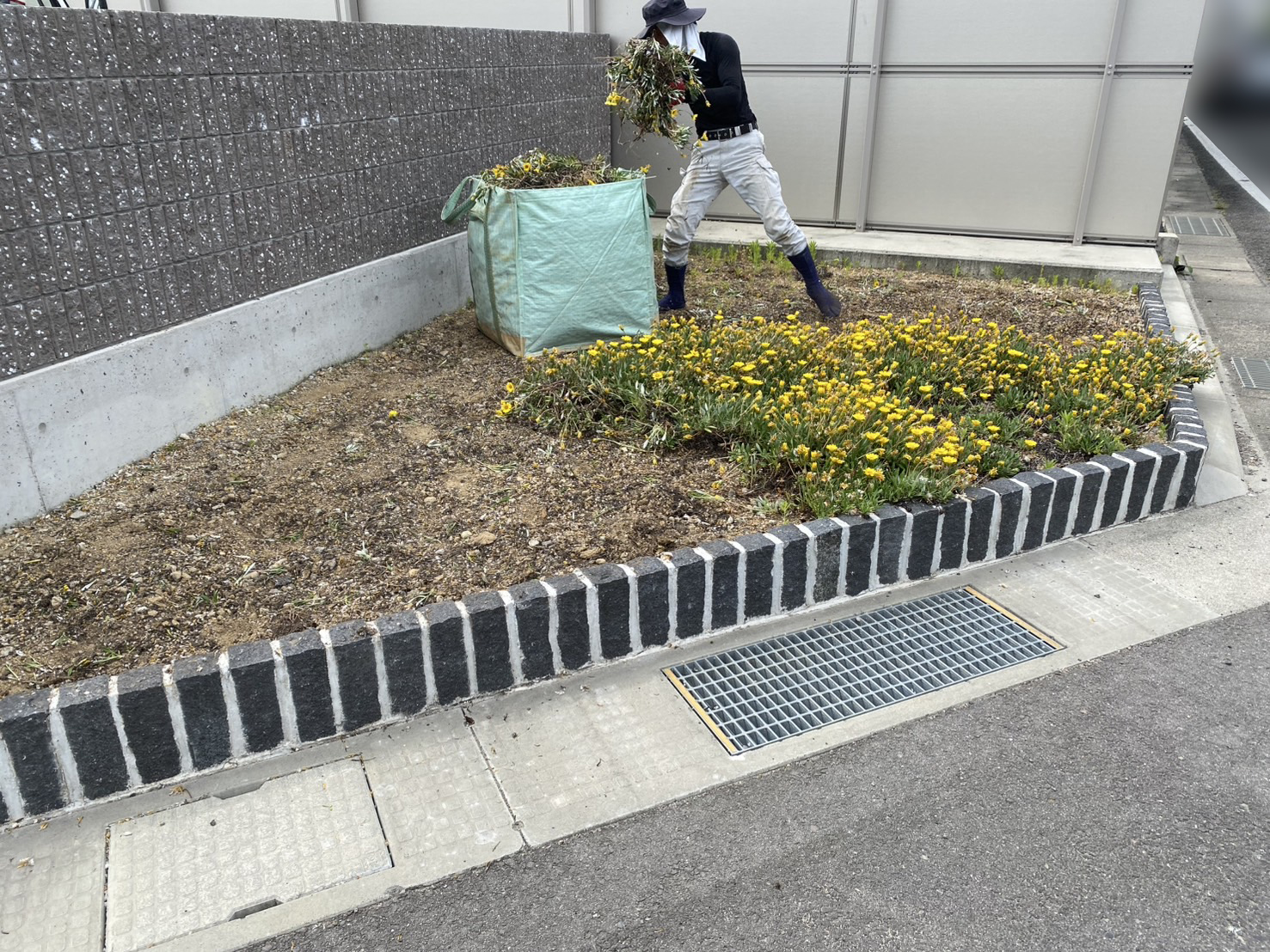 【高松市香南町法人様】正面花壇の雑草対策＆リフォーム工事、本日着工⛑ (株)カインズガーデン｜香川県の庭リフォーム工事