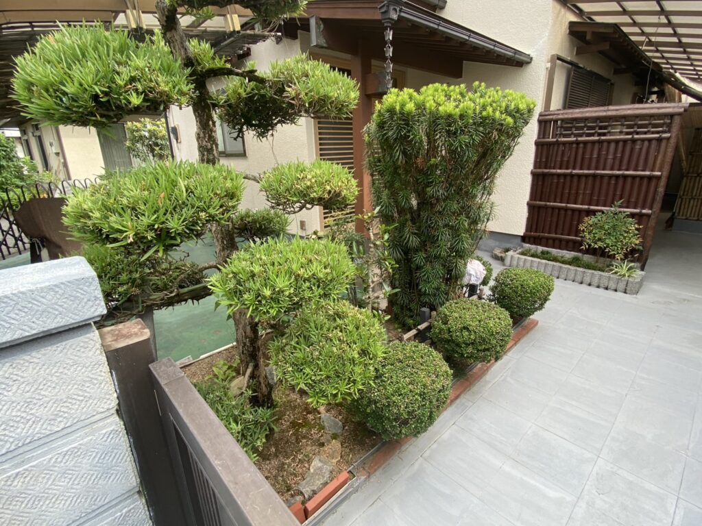 【綾川町O様邸】植栽撤去・防草シートで雑草対策・フェンス設置、本日着工⛑ (株)カインズガーデン|香川県の庭仕舞い工事 【綾川町O様邸】植栽撤去・防草シートで雑草対策・フェンス設置、本日着工⛑ (株)カインズガーデン|香川県の庭仕舞い工事